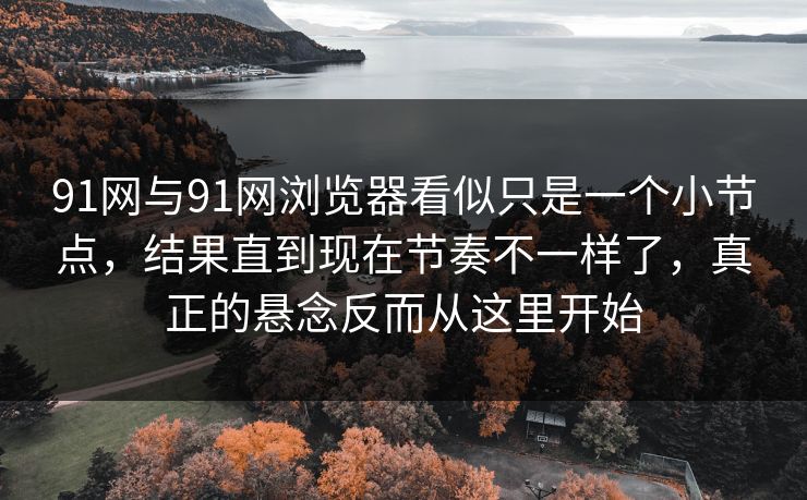 91网与91网浏览器看似只是一个小节点，结果直到现在节奏不一样了，真正的悬念反而从这里开始